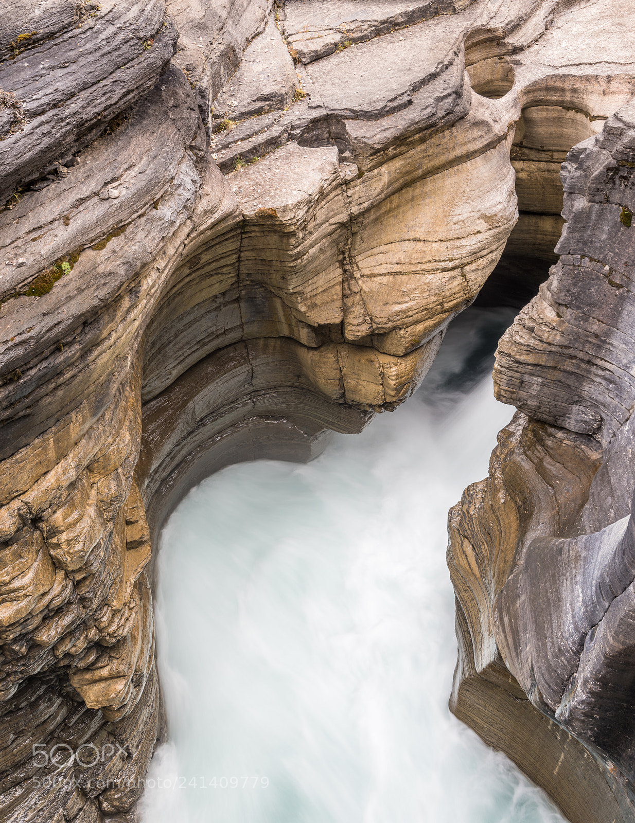 Nikon D810 sample photo. Mistaya canyon #2 photography