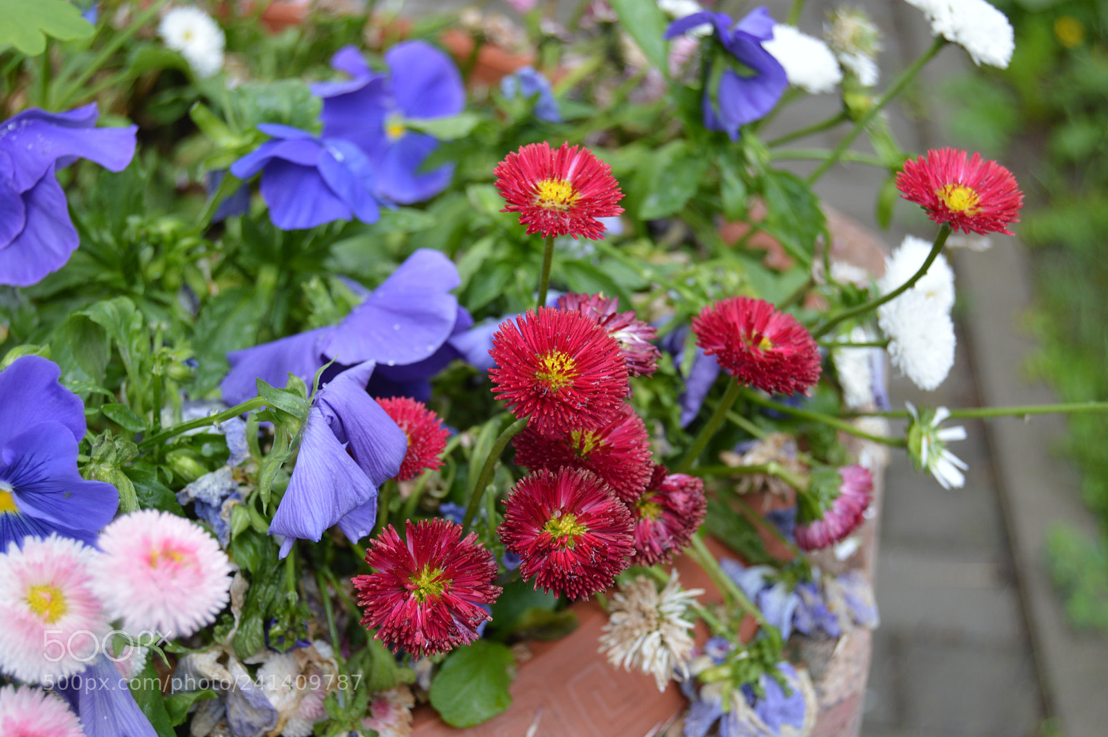 Nikon D3200 sample photo. Together photography