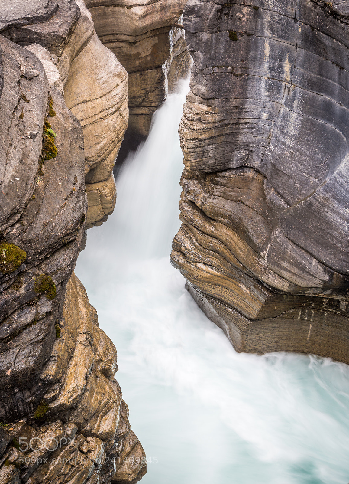 Nikon D810 sample photo. Mistaya canyon #3 photography