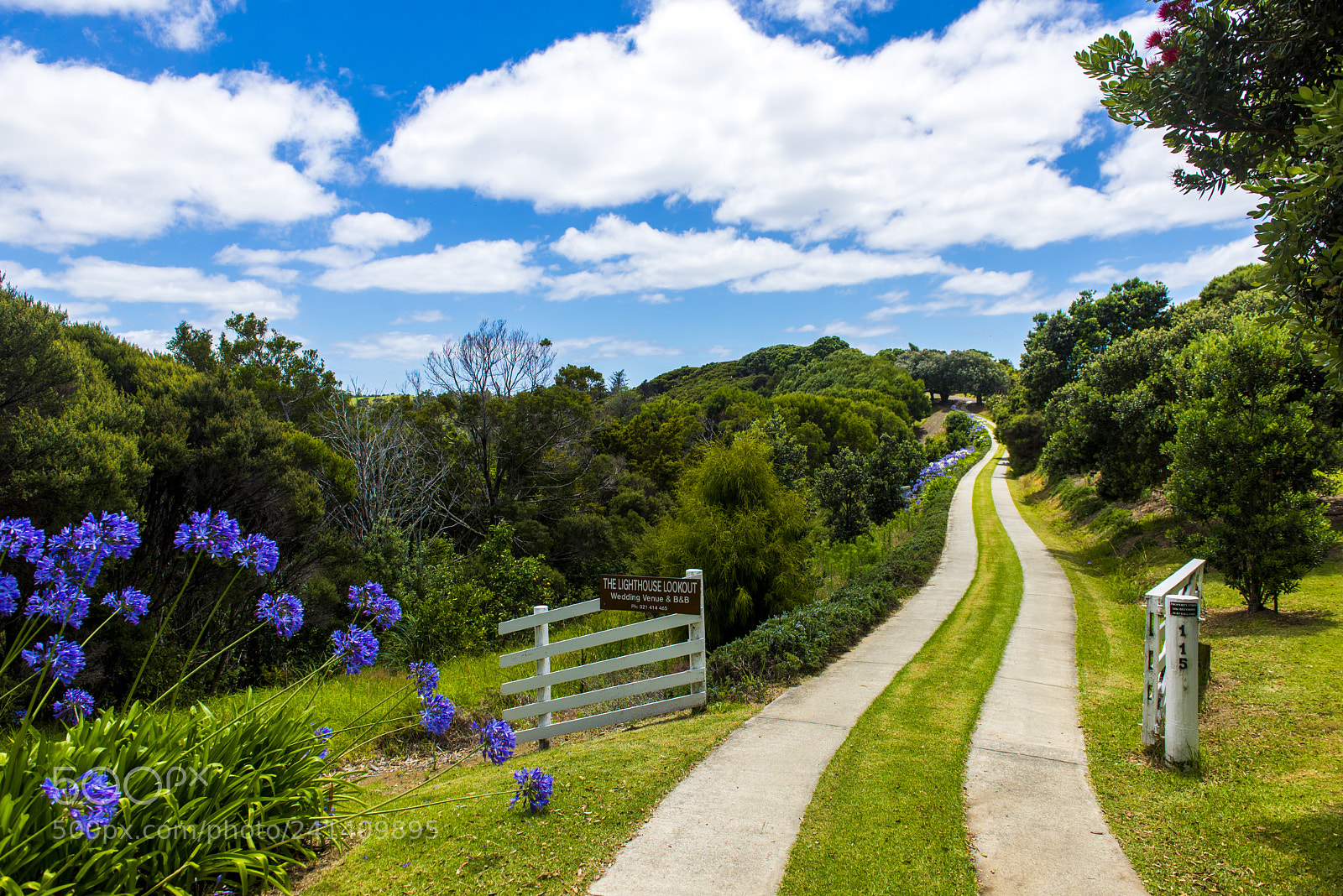 Nikon D600 sample photo. Winding path photography