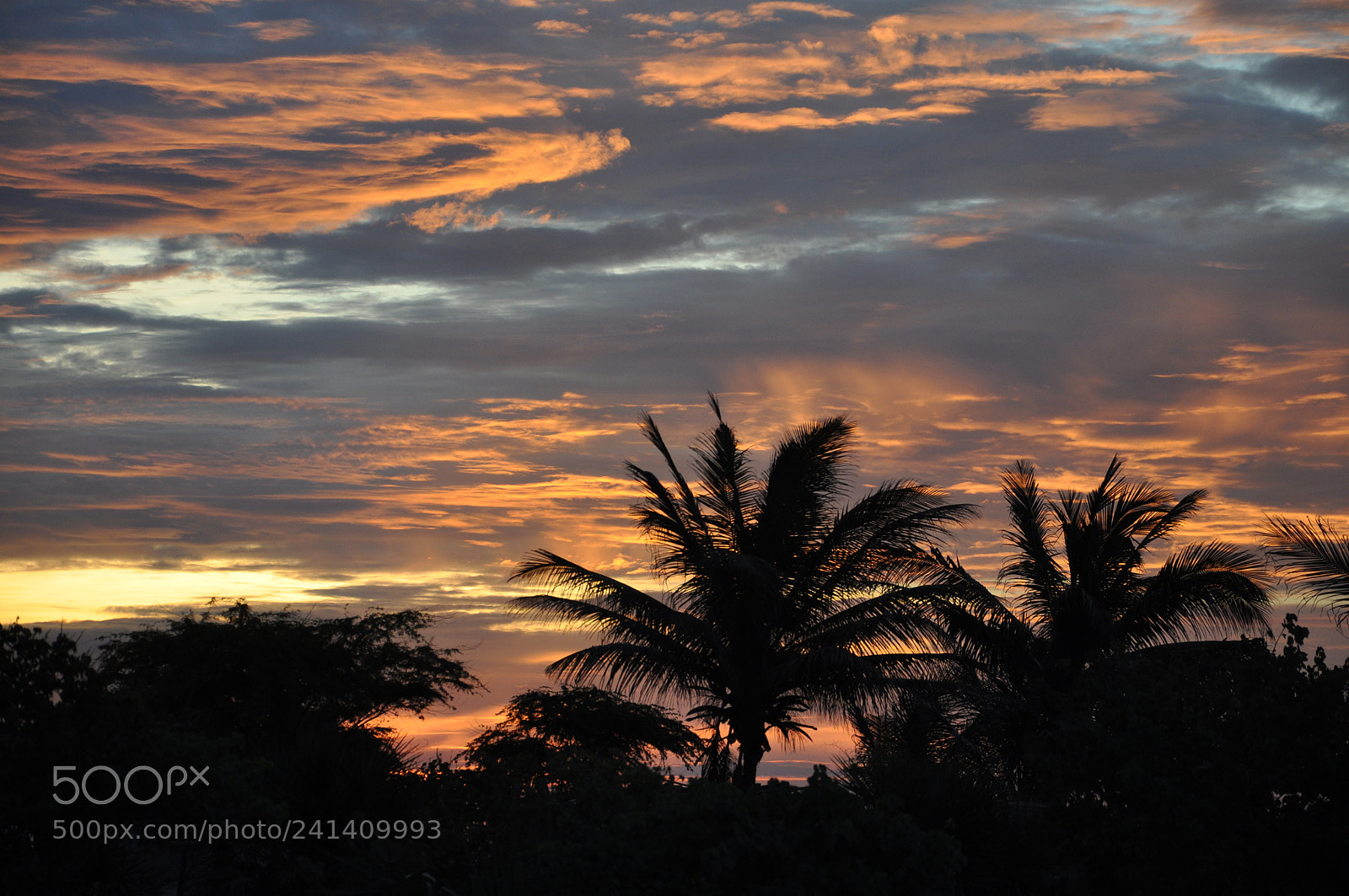 Nikon D90 sample photo. C u de fim photography