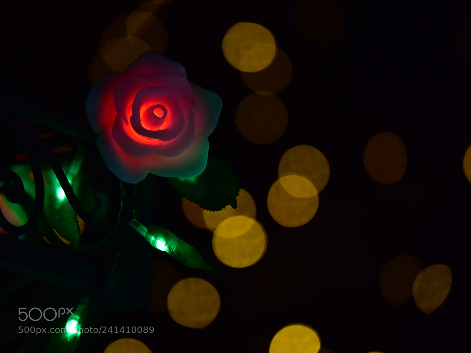 Nikon D810 sample photo. Untitled photography