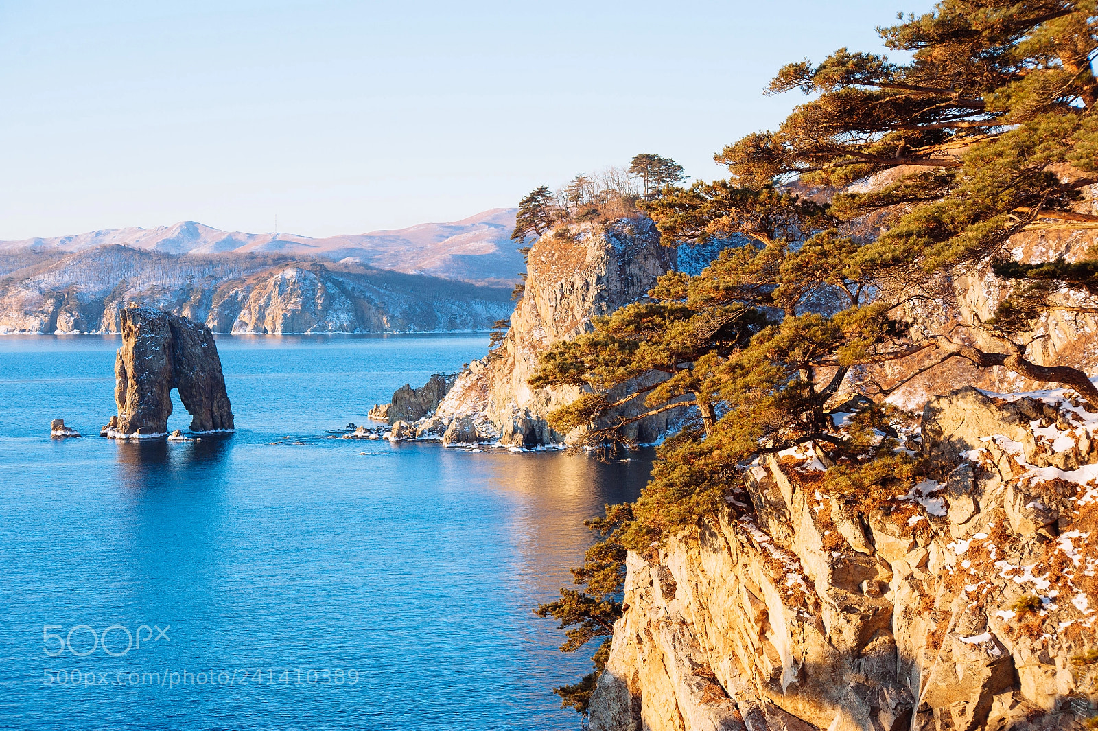 Nikon D700 sample photo. Cape pine photography