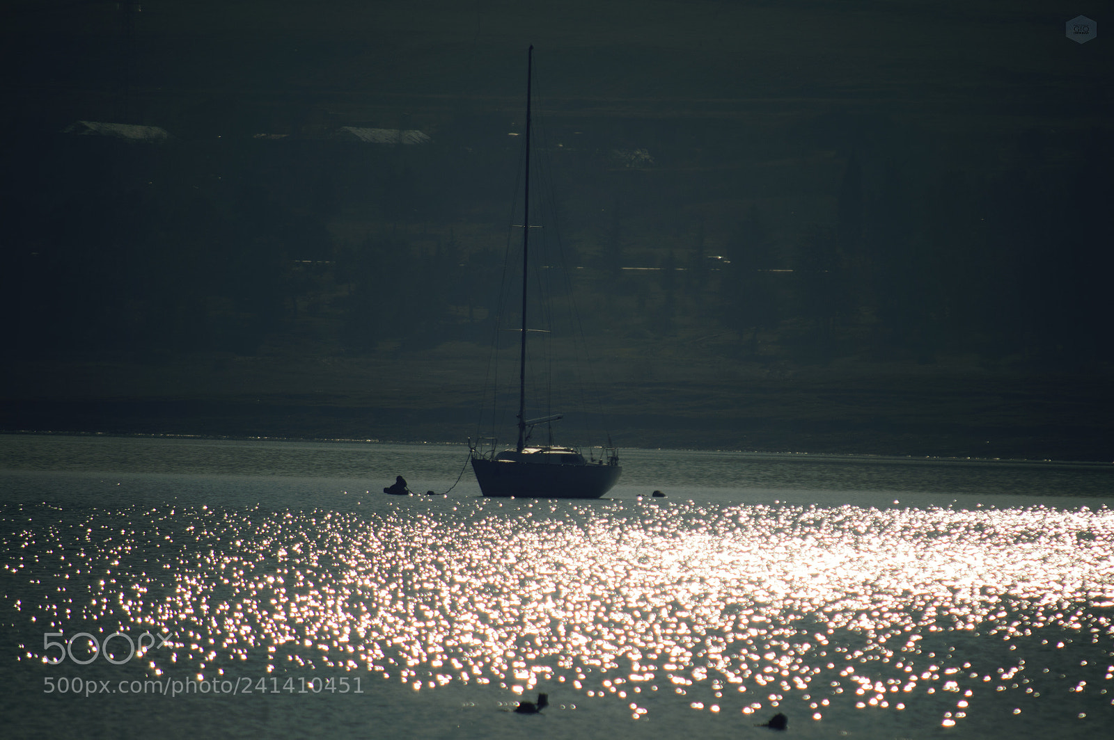 Nikon D3200 sample photo. Untitled photography