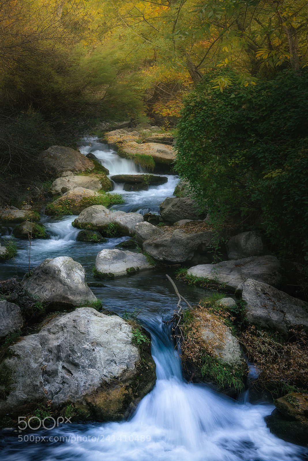 Nikon D800 sample photo. The river castril photography