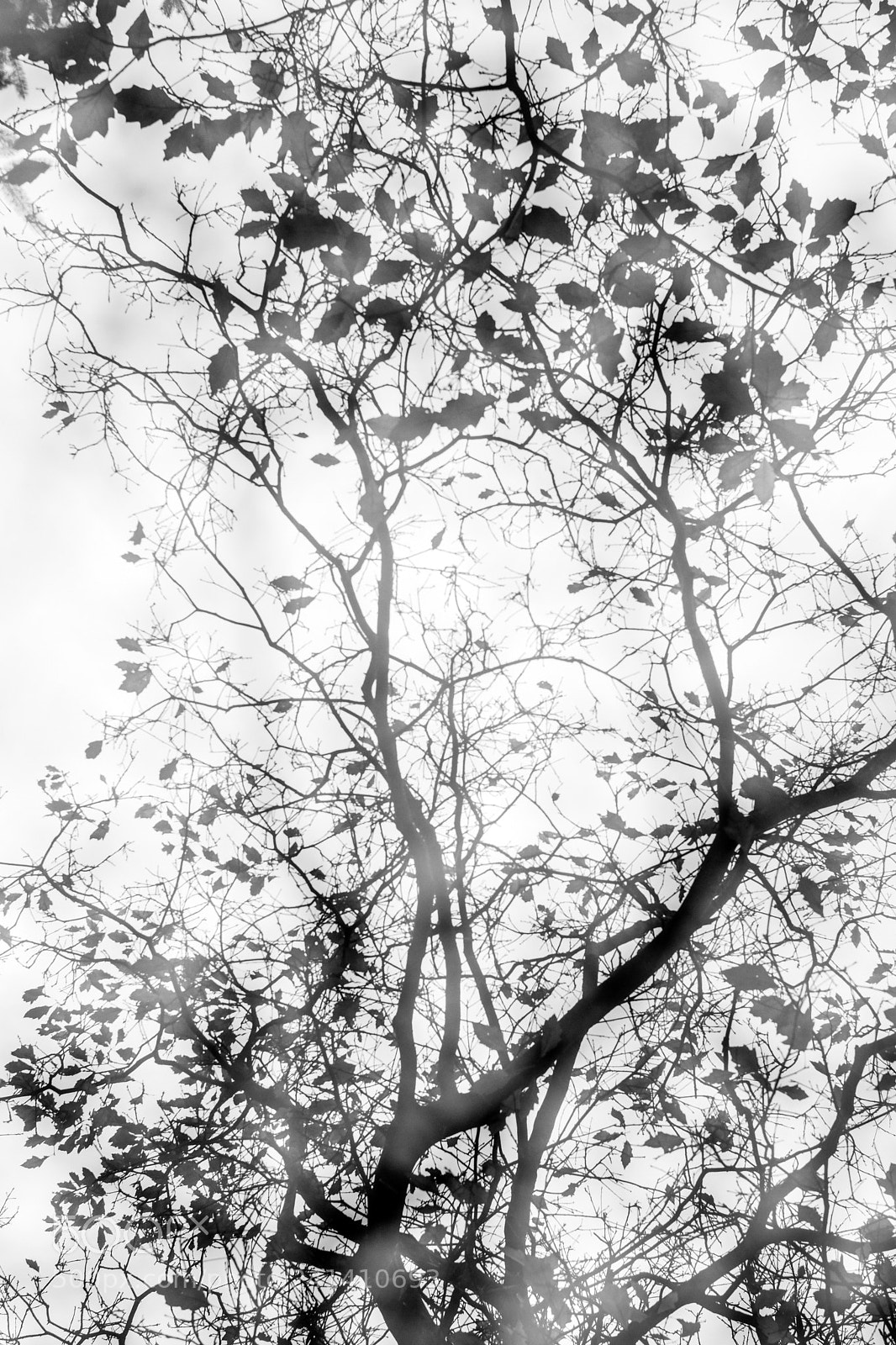 Fujifilm X-T2 sample photo. Winter reflections photography