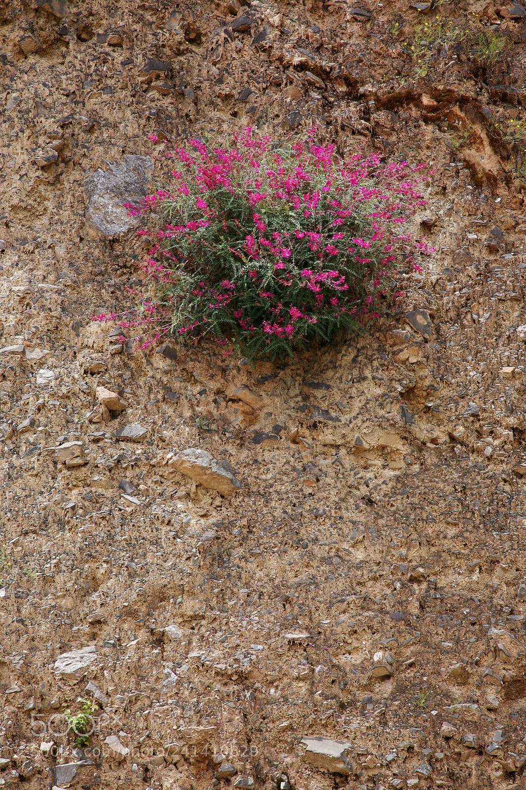 Canon EOS 5D sample photo. Untitled photography