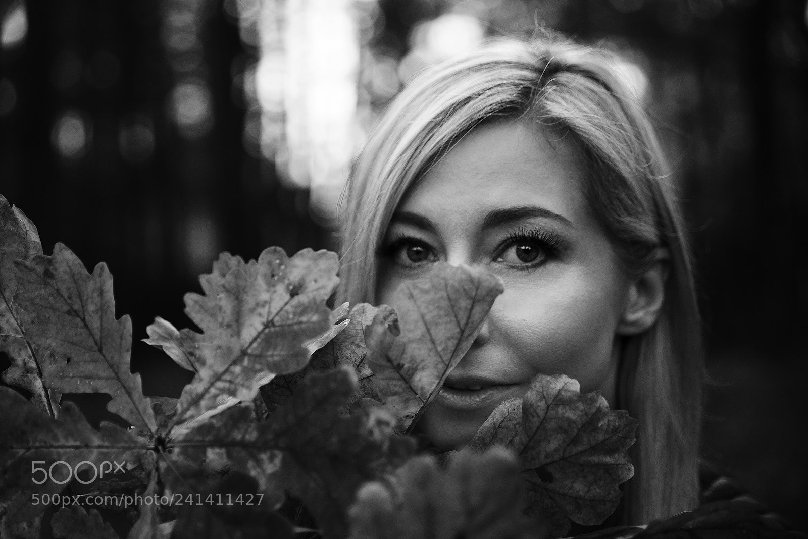 Nikon D800 sample photo. Eye forest photography