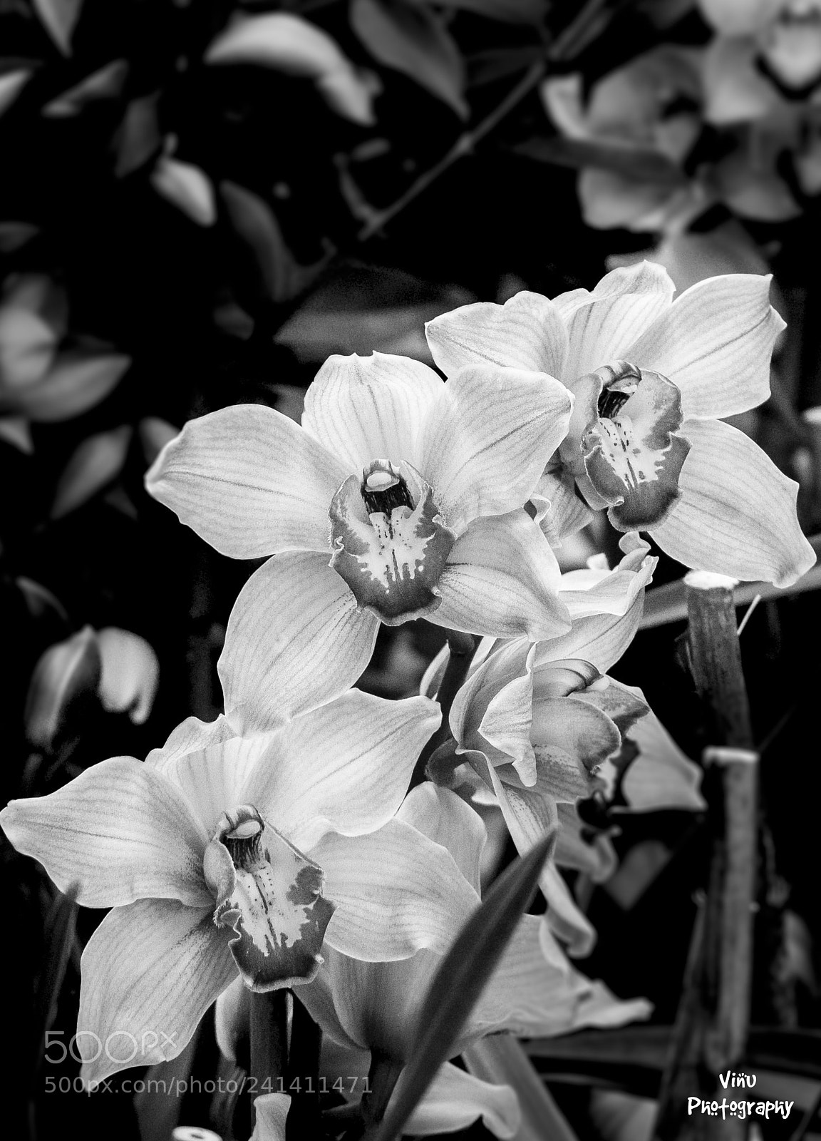 Nikon D3100 sample photo. Qbreak the night with photography