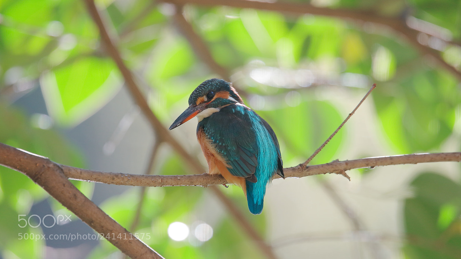 Canon EOS 5DS sample photo. Untitled photography
