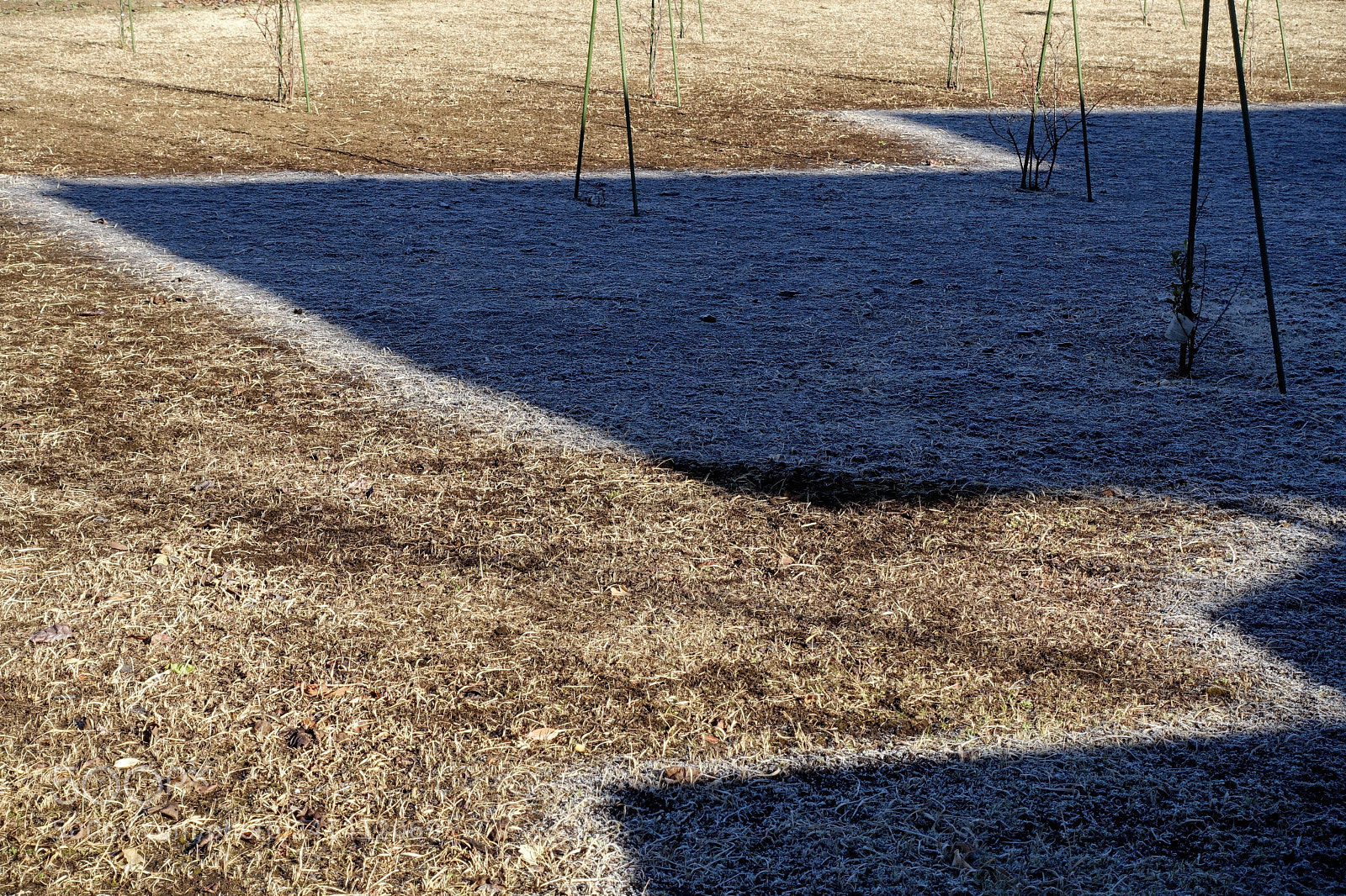 Sony Cyber-shot DSC-RX100 III sample photo. Winter morning photography