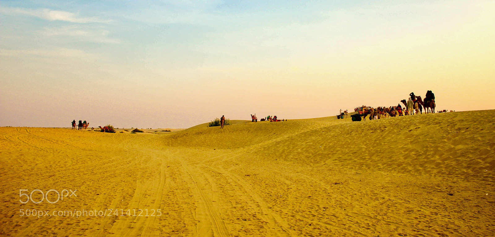 Canon EOS 550D (EOS Rebel T2i / EOS Kiss X4) sample photo. An evening thar img photography