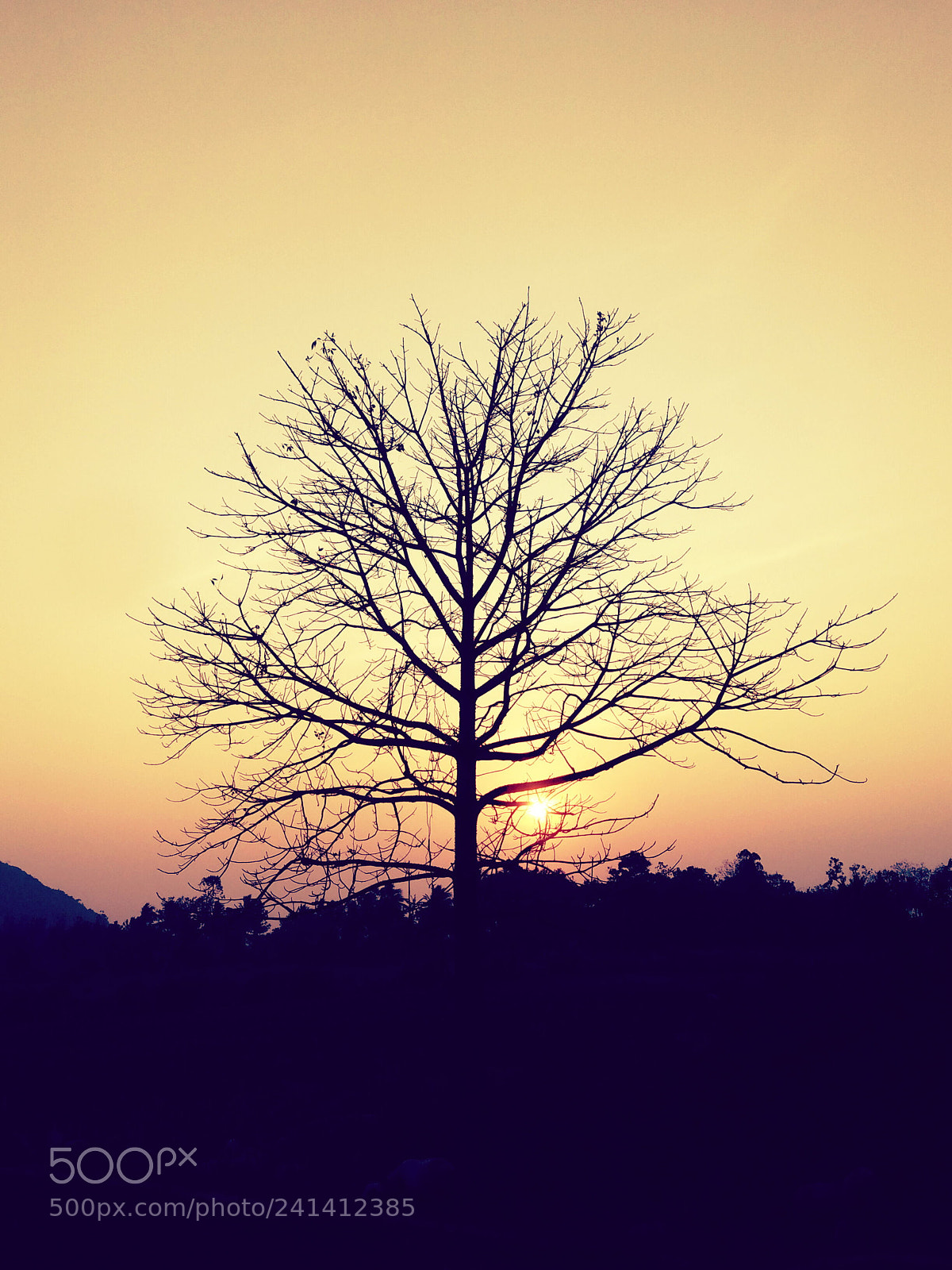 OPPO A37fw-International sample photo. Untitled photography