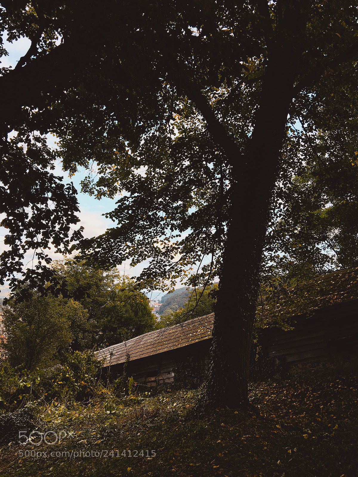 Apple iPhone 6s Plus sample photo. Autumn in sighisoara, romania photography