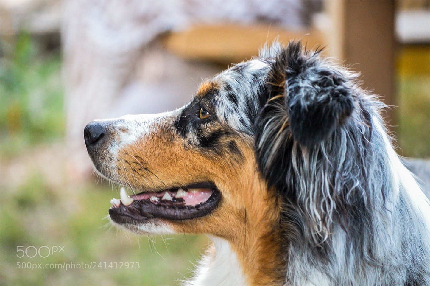 Nikon D3200 sample photo. Bybrignoles photography