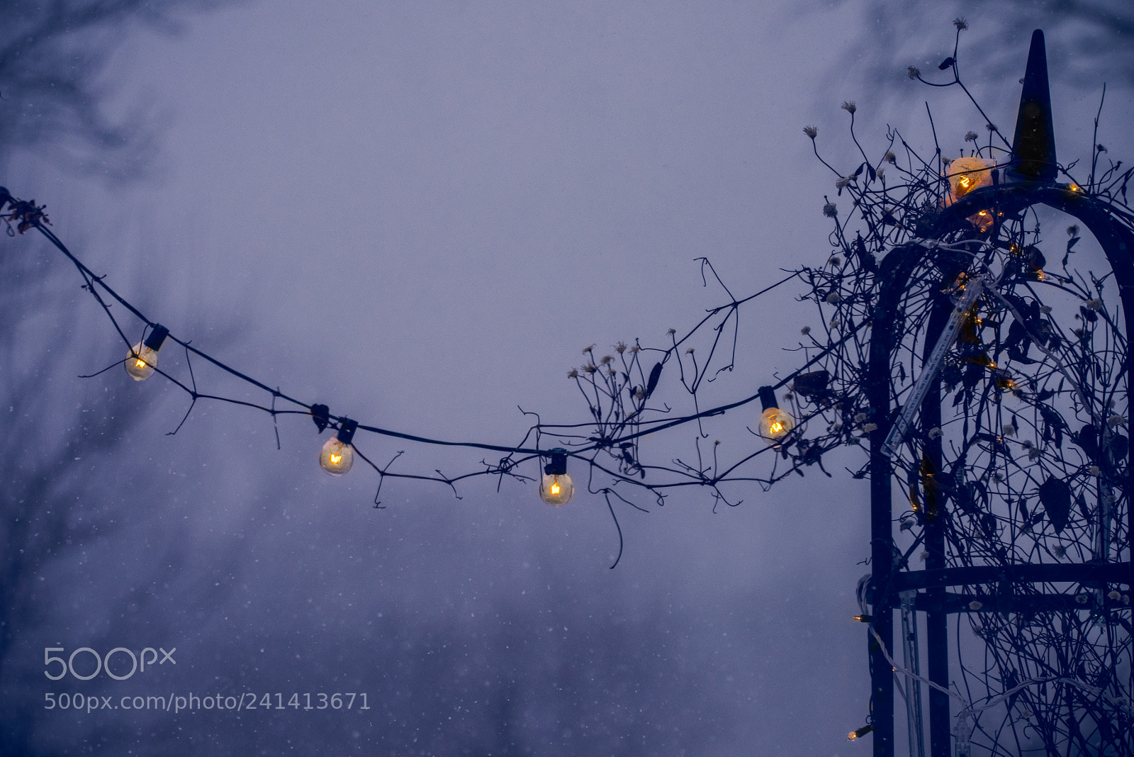 Nikon D810 sample photo. Blizzard photography