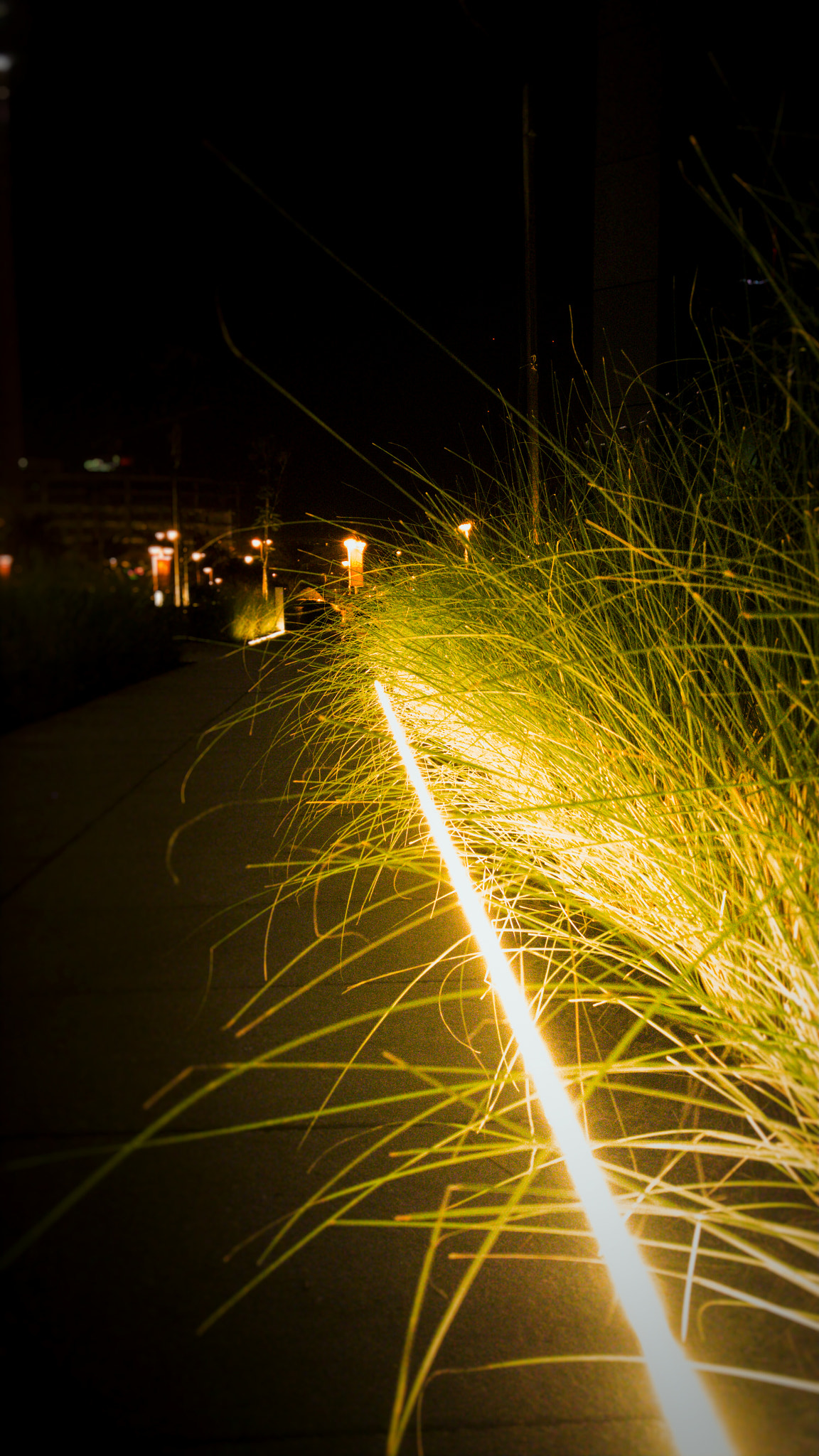 LG V10 sample photo. Xeon night photography