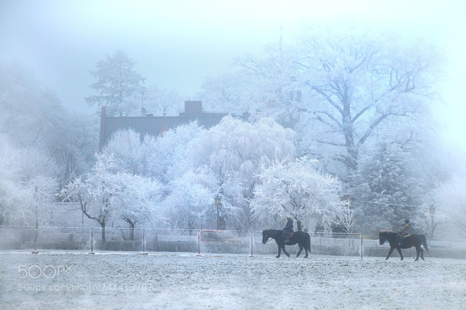 Nikon D300 sample photo. V winterbilder photography