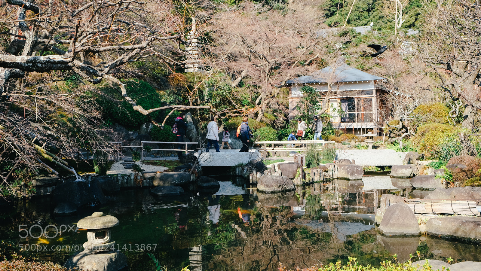 Fujifilm X-T10 sample photo. Dscf photography