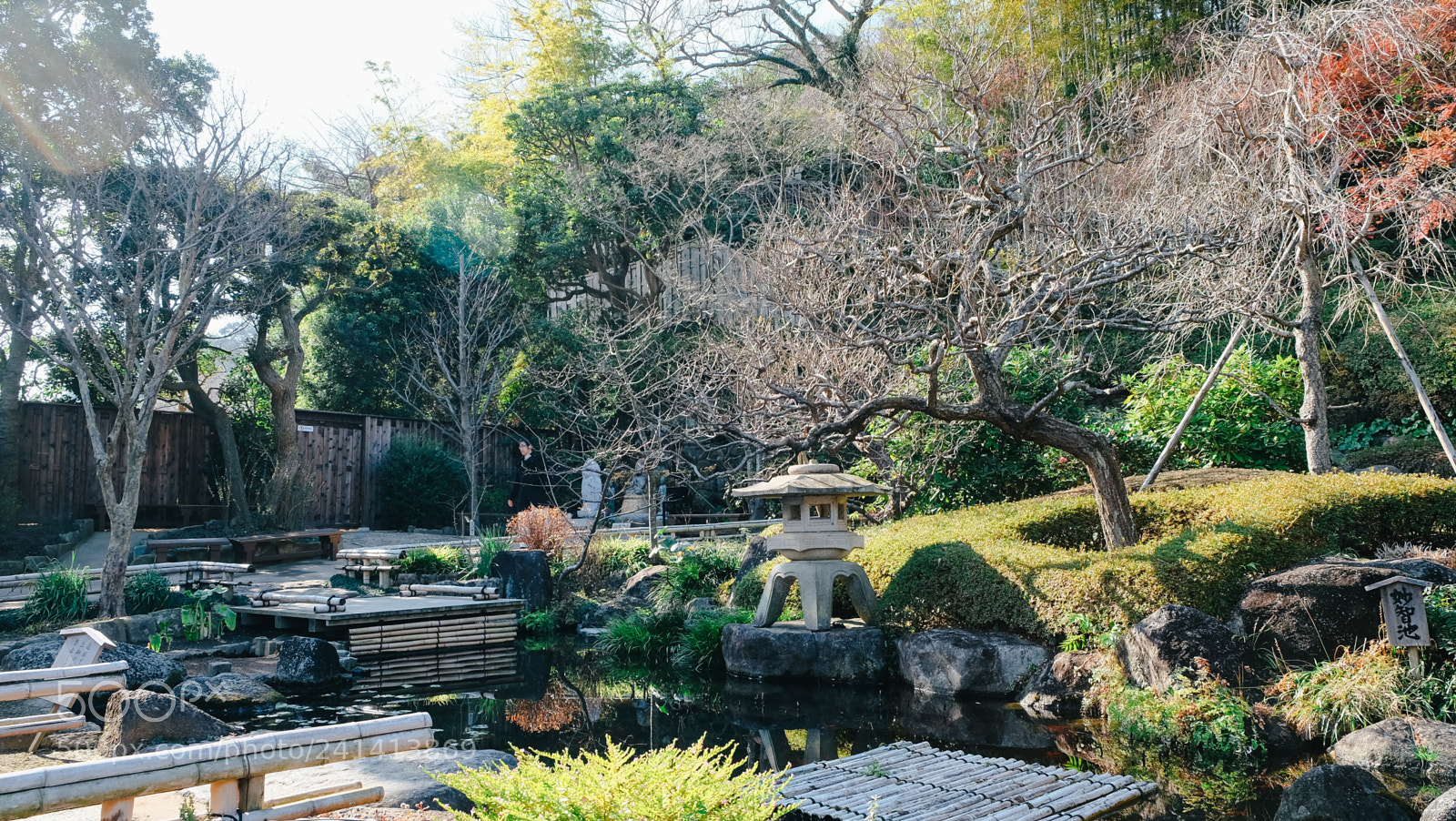 Fujifilm X-T10 sample photo. Dscf photography