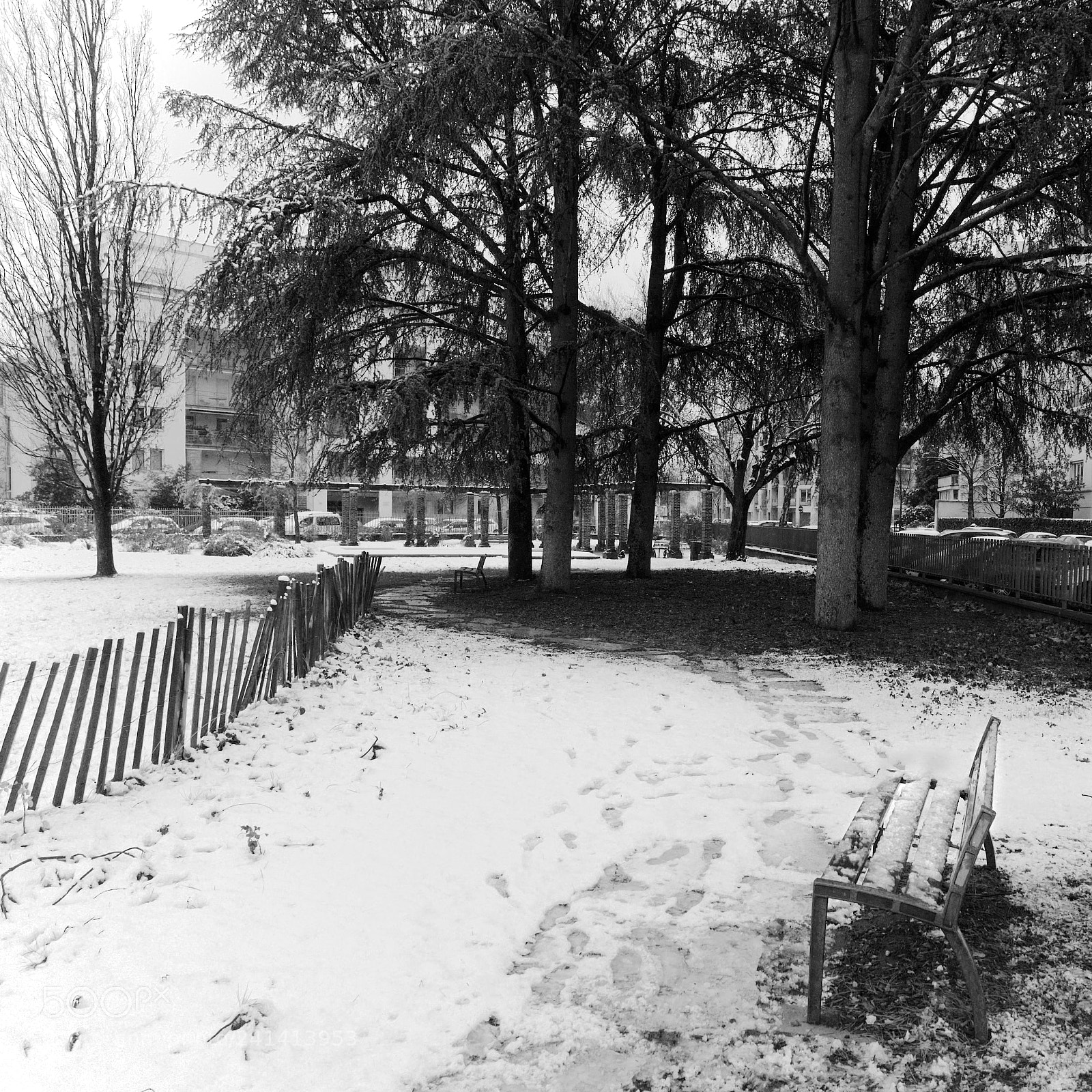 Panasonic Lumix DC-GH5 sample photo. Paysage sous la neige photography