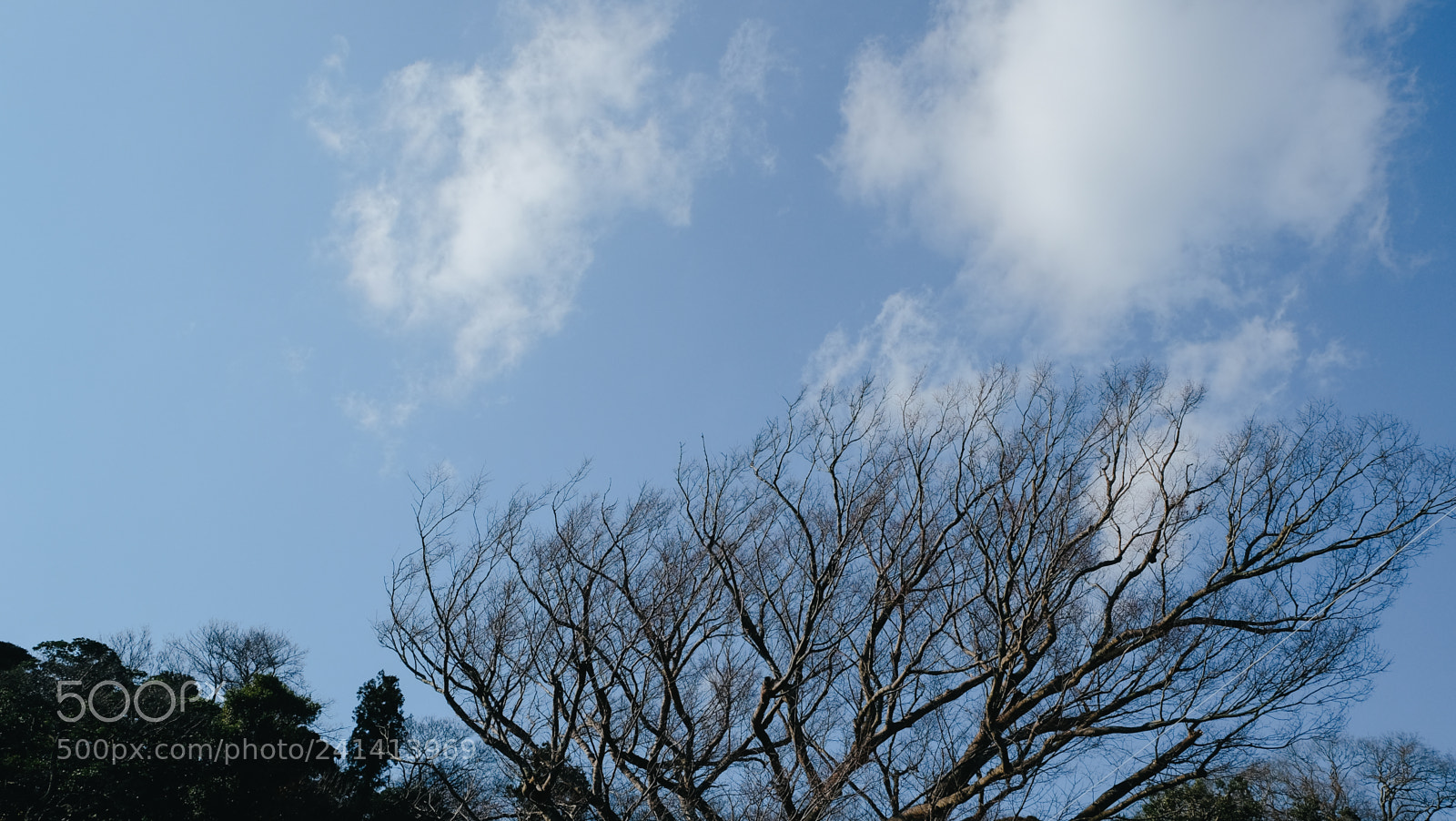 Fujifilm X-T10 sample photo. Dscf photography