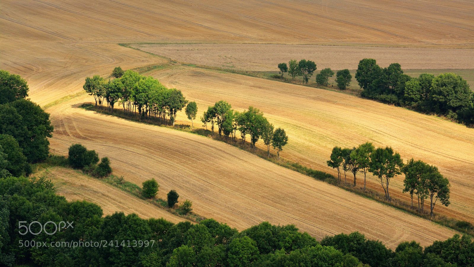 Nikon D7100 sample photo. Landscape- bolk w city photography