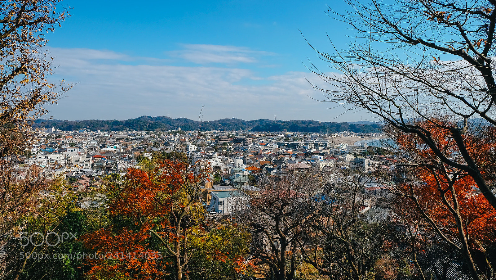 Fujifilm X-T10 sample photo. Dscf photography