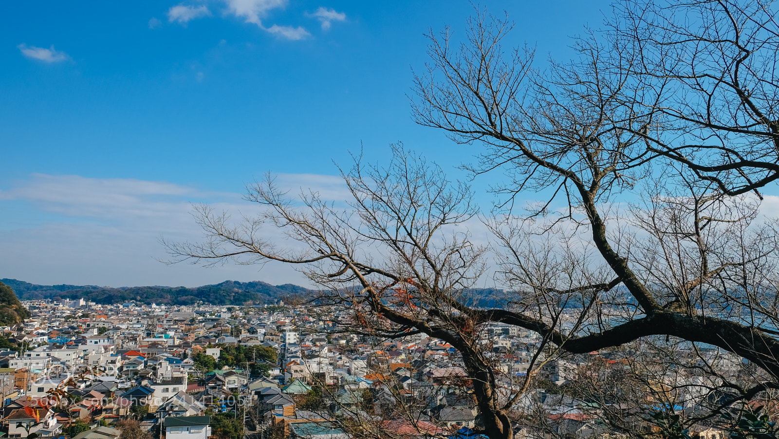 Fujifilm X-T10 sample photo. Dscf photography