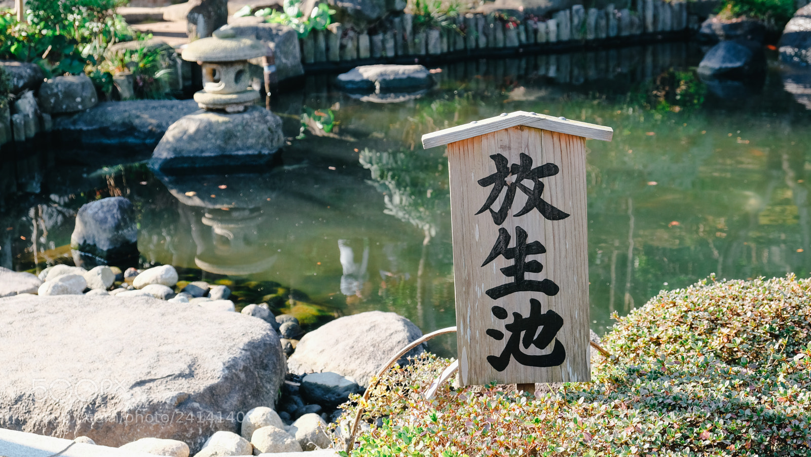 Fujifilm X-T10 sample photo. Dscf photography