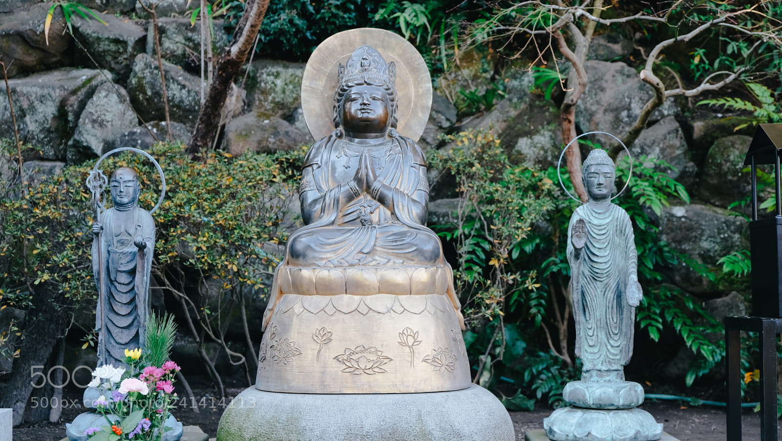 Fujifilm X-T10 sample photo. Dscf photography