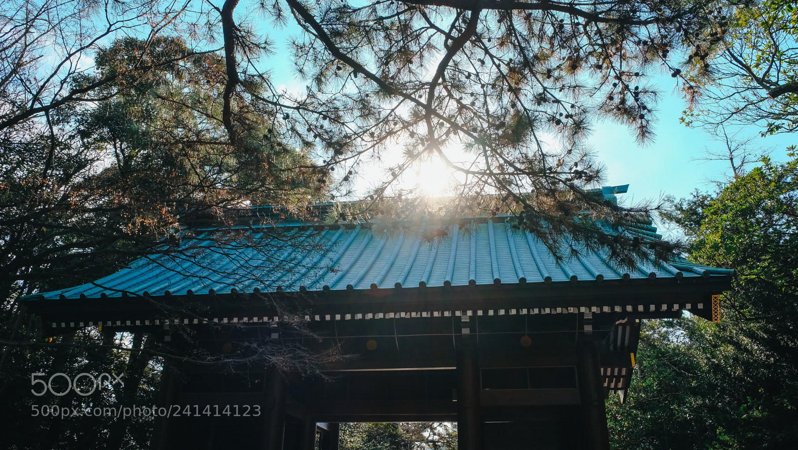 Fujifilm X-T10 sample photo. Dscf photography