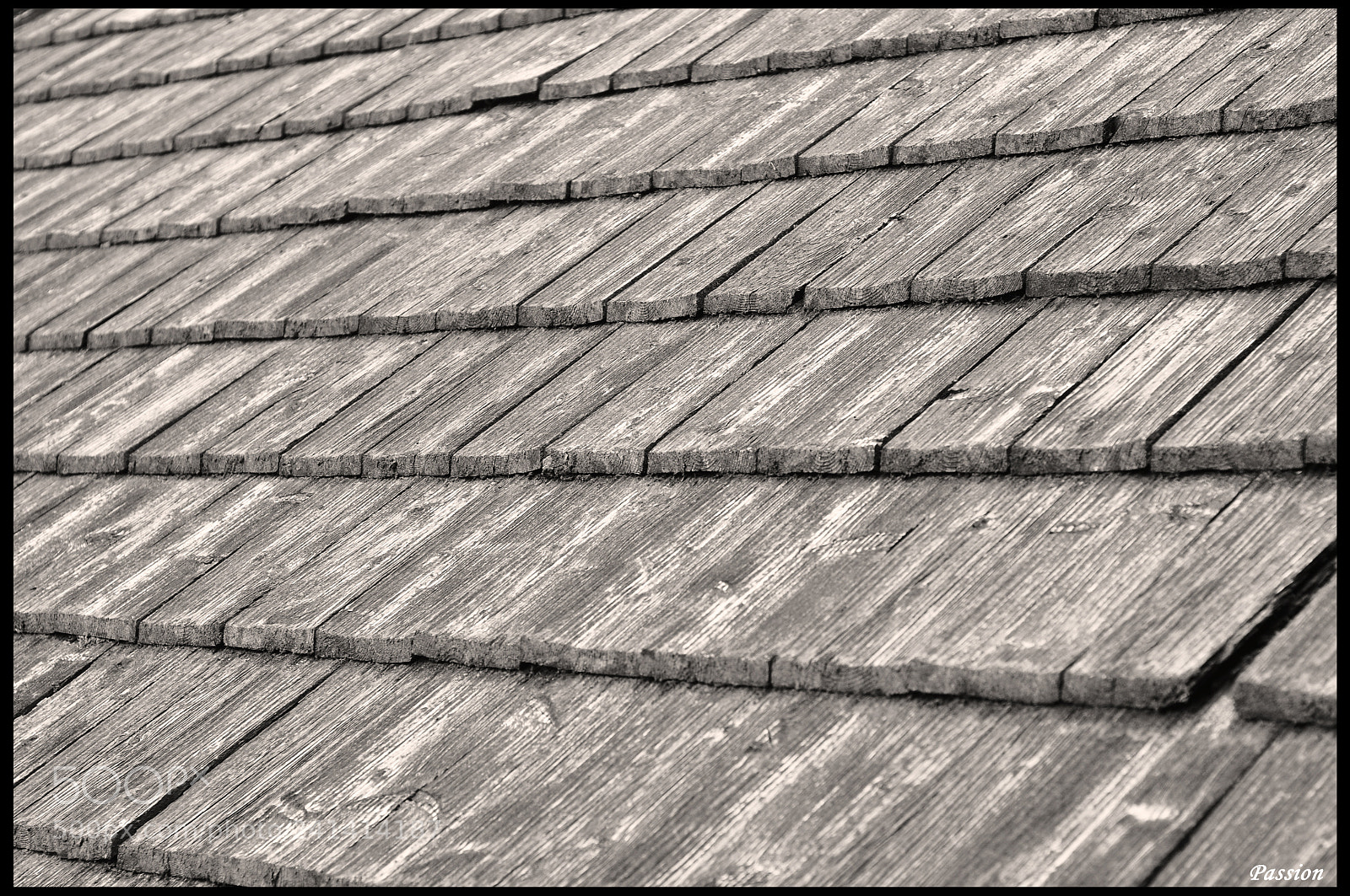 Nikon D90 sample photo. Shelter photography