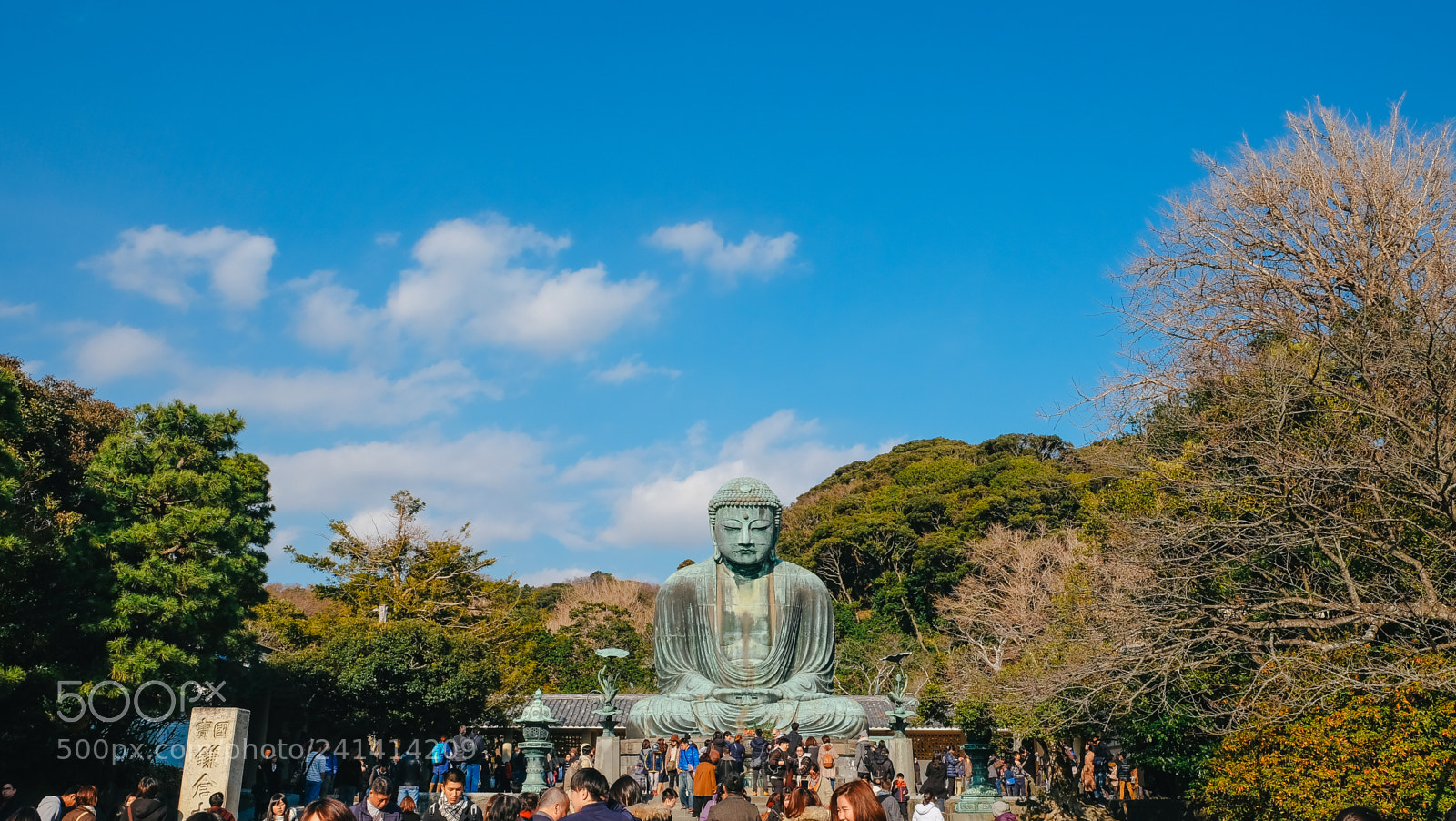 Fujifilm X-T10 sample photo. Dscf photography