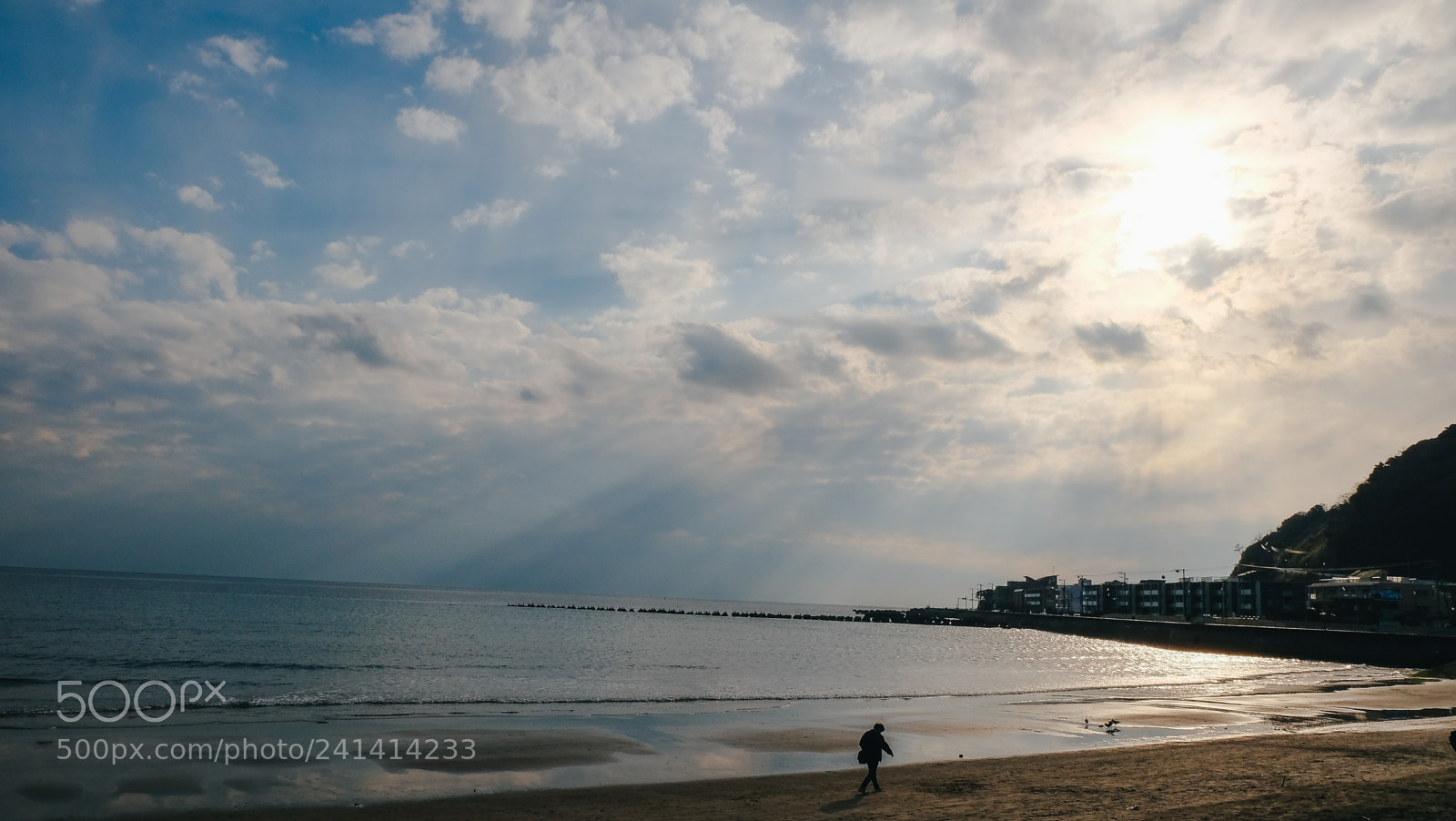 Fujifilm X-T10 sample photo. Dscf photography
