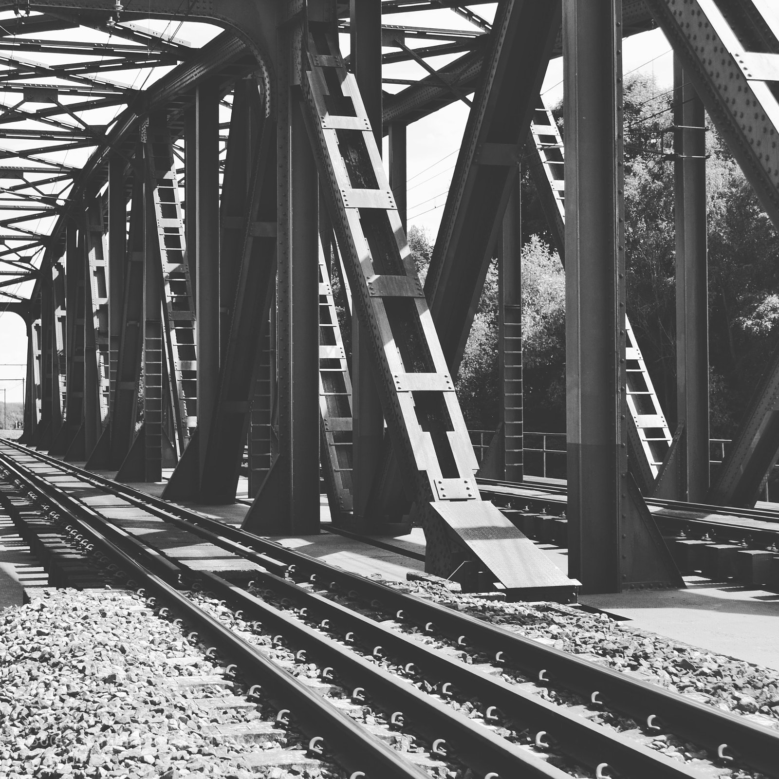 Nikon D3100 sample photo. Untitled photography