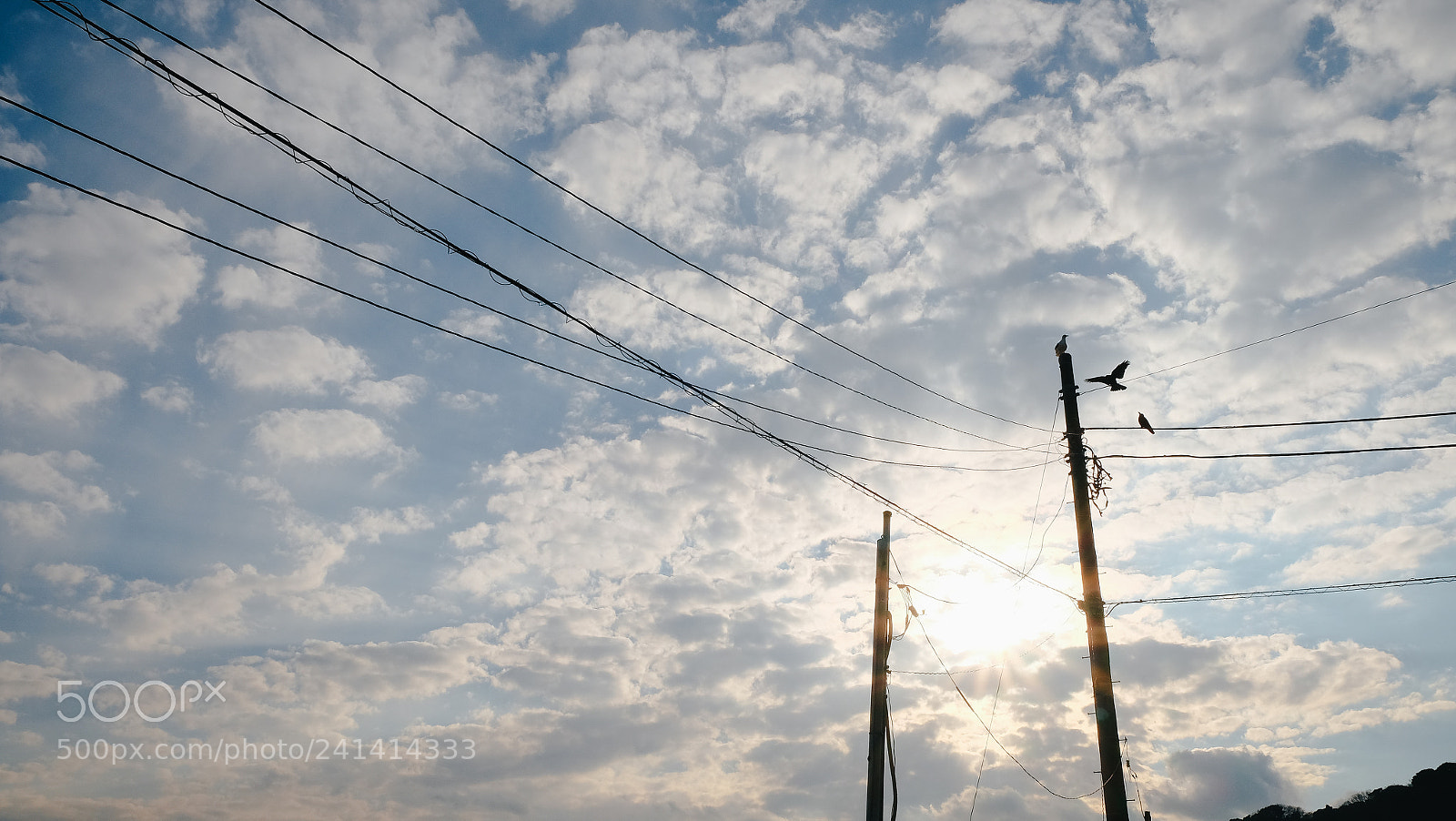 Fujifilm X-T10 sample photo. Dscf photography
