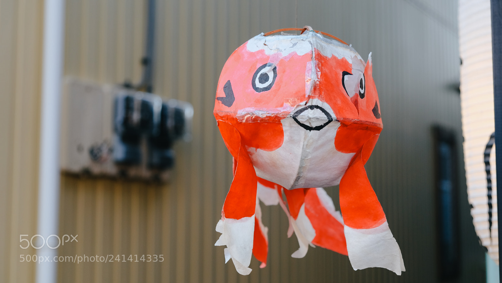 Fujifilm X-T10 sample photo. Dscf photography