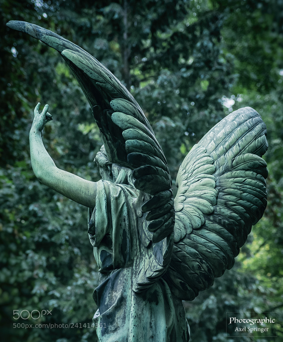 Pentax K-3 sample photo. Angel photography