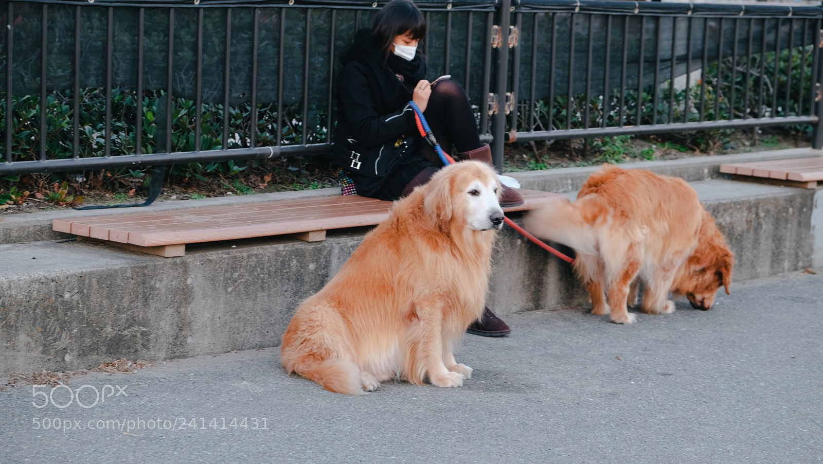 Fujifilm X-T10 sample photo. Dscf photography