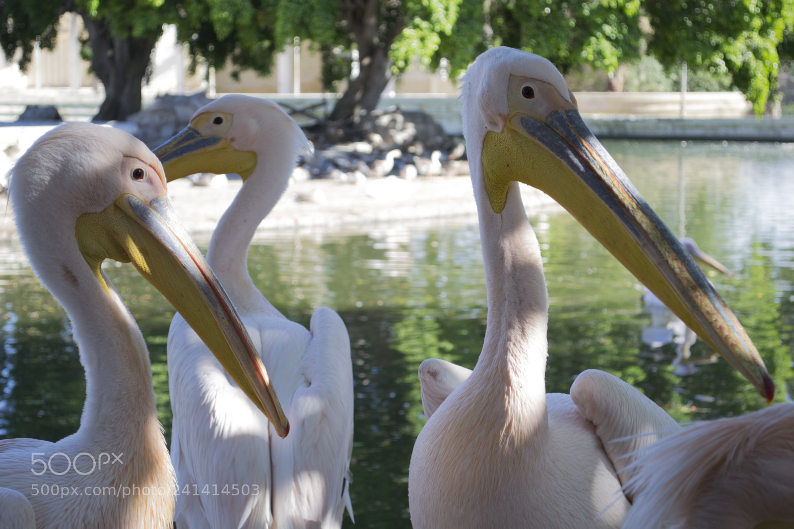 Nikon D3100 sample photo. Untitled photography