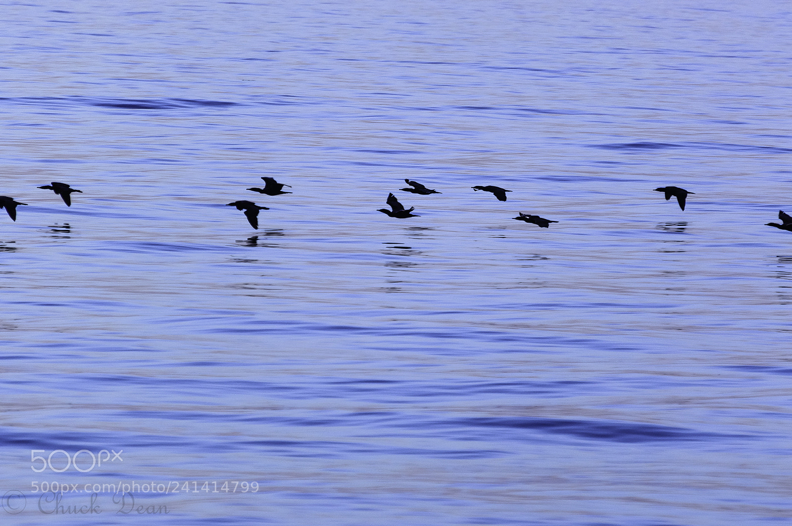 Nikon D3200 sample photo. Ripples and reflections photography