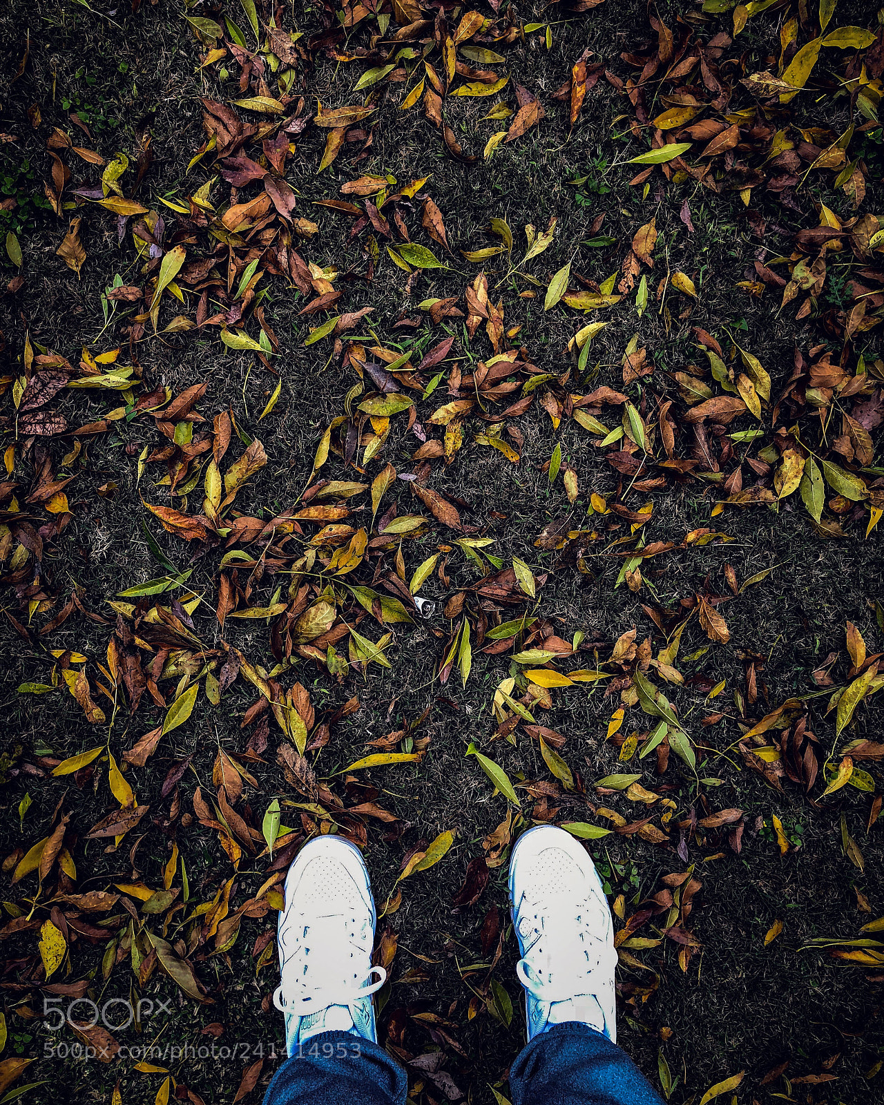 Apple iPhone X sample photo. Enero ? photography