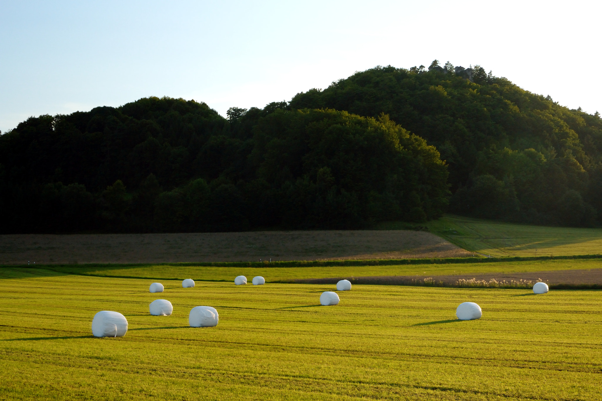 Nikon D3100 sample photo. Field still life photography