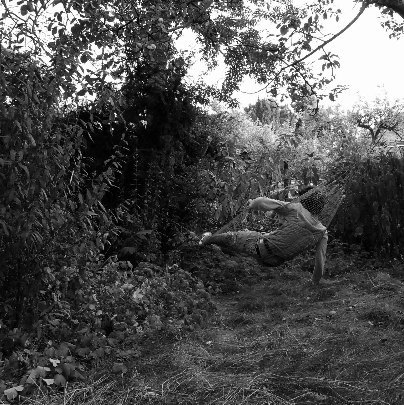 Nikon D80 sample photo. Gone from equilibrium photography