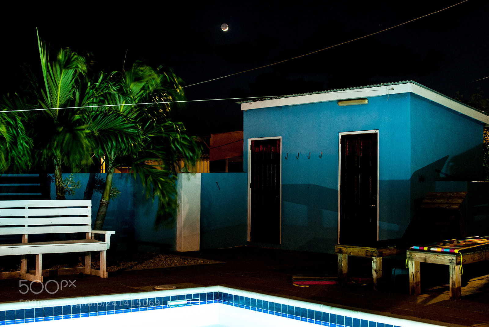 Nikon D60 sample photo. Palmsy photography