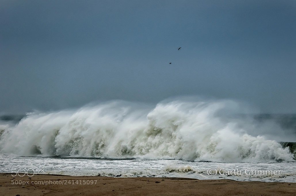 Nikon D300 sample photo. Surfside photography