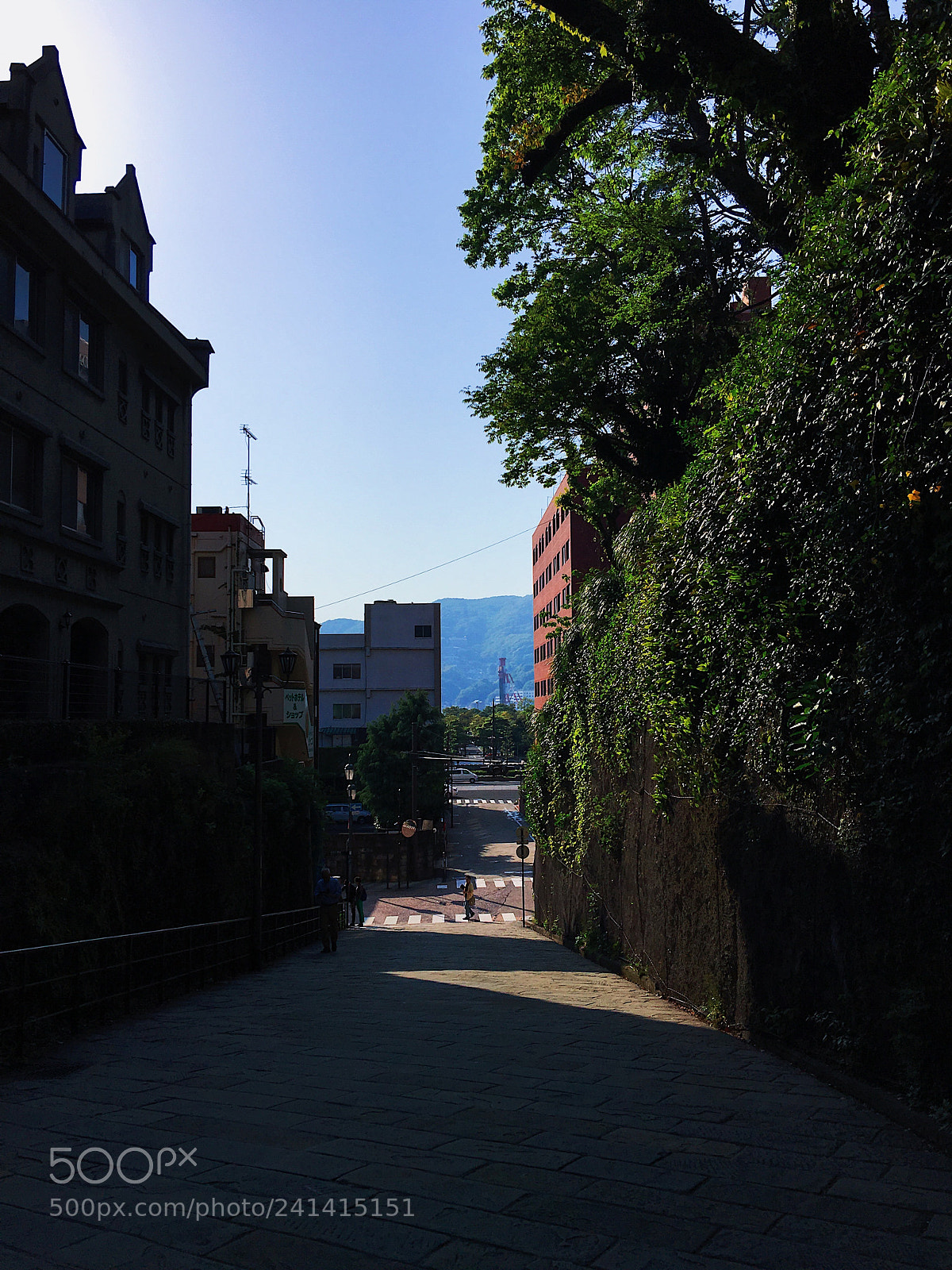 Apple iPhone 6s Plus sample photo. Ｈｏｌｌａｎｄｅｒ  Ｓｌｏｐｅ photography