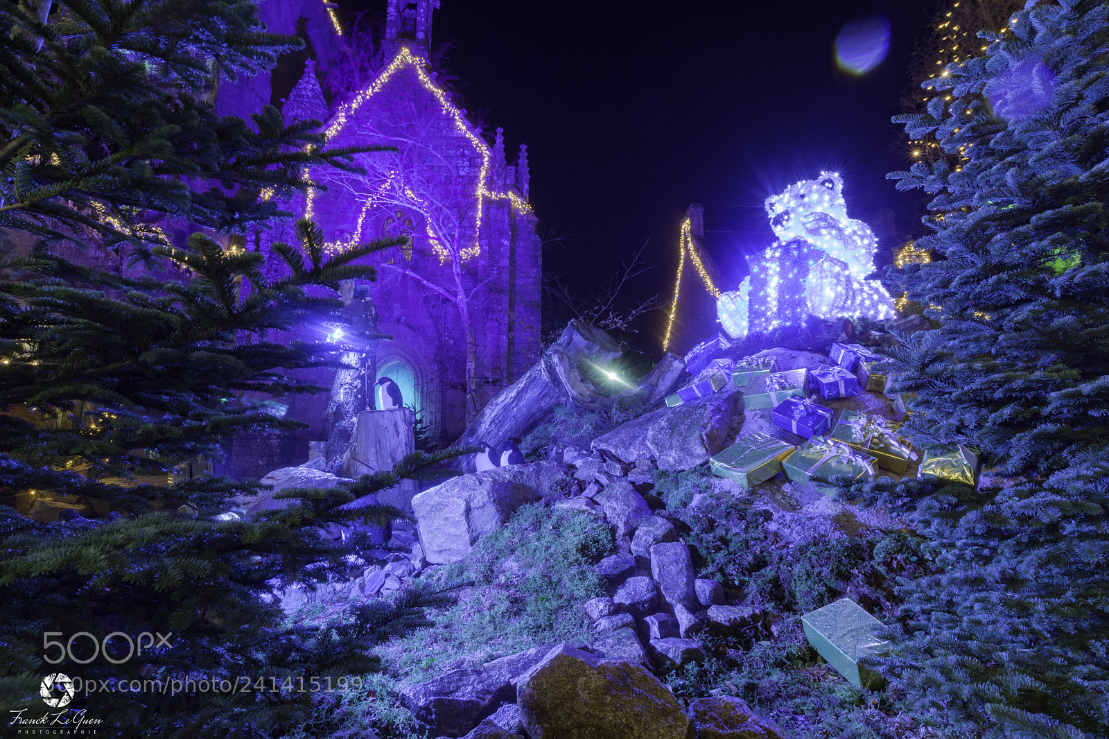 Nikon D7100 sample photo. Locronan christmas illumination - 13 photography