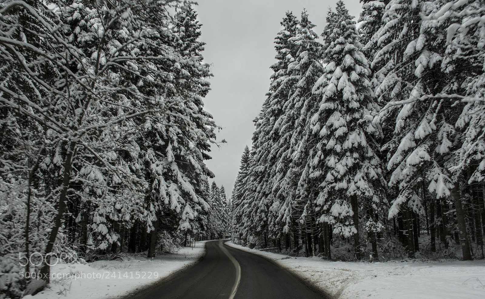 Nikon D7200 sample photo. Snowy landscapes ❄️ photography